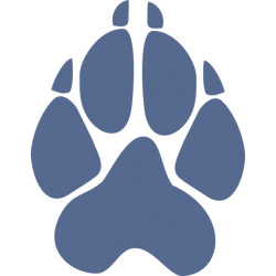 Autoaufkleber: Hunde Pfoten Sticker Aufkleber 4 Paare Hundepfoten Aufkleber mit Herz