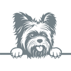 Autoaufkleber: Yorkshirt Terrier Aufkleber Yorkshirt Terrier Aufkleber