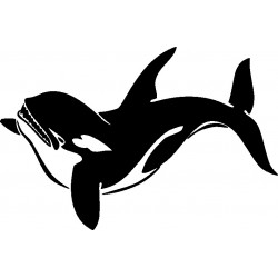 SCHWERTWAL - ORCA